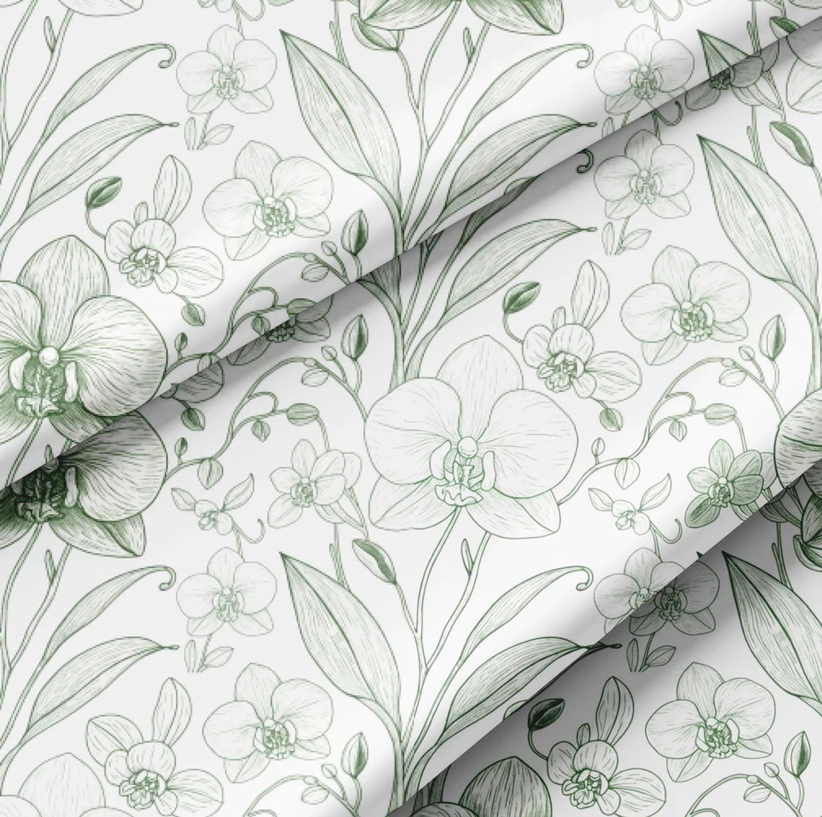 Orchid II